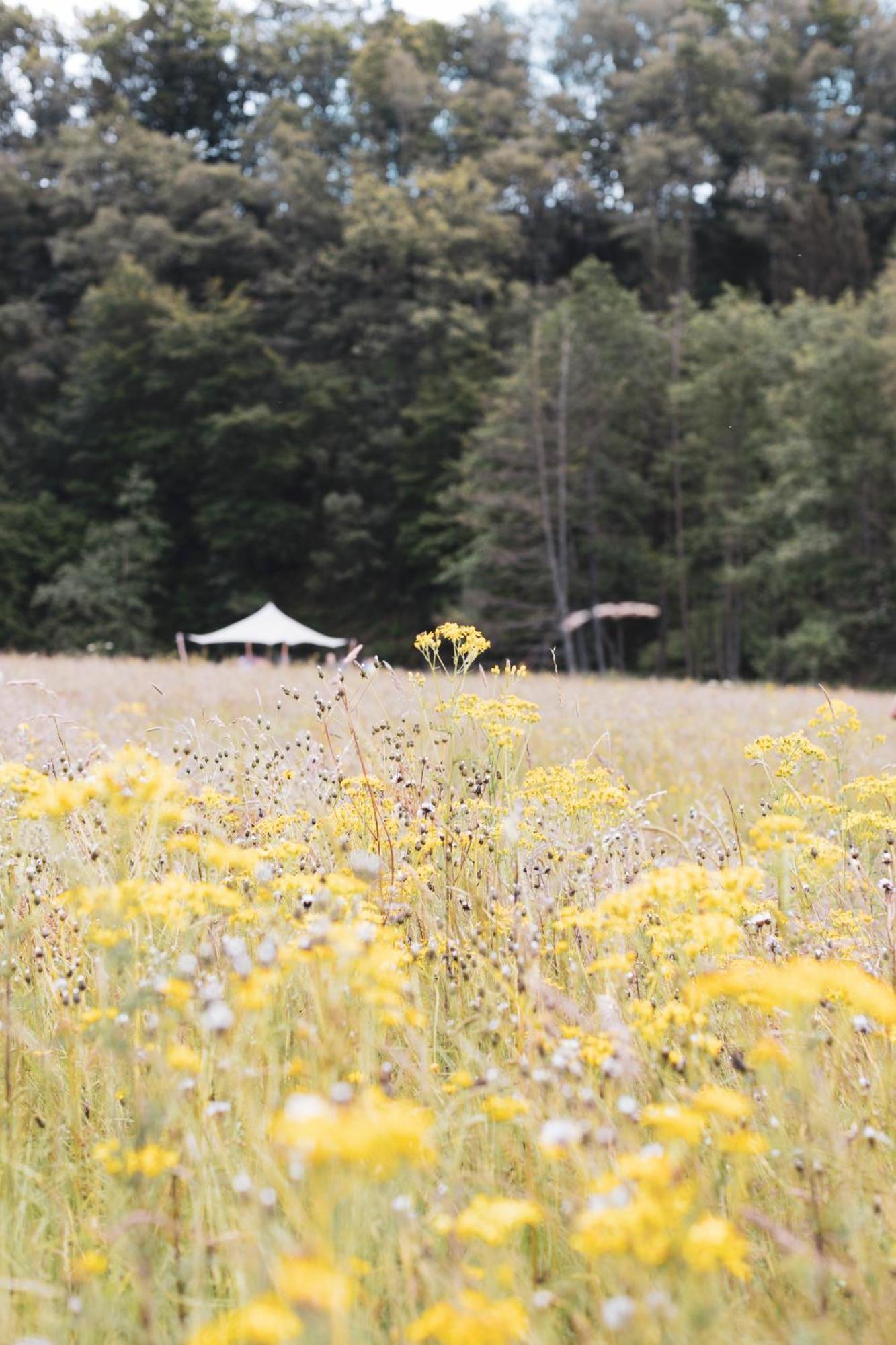 Paddock Lodge - Suites Wellness & Chambres D'Hotes Stoumont Exteriör bild
